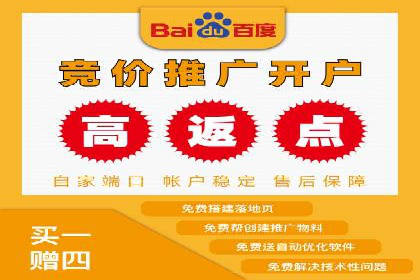 顶级SEM运营公司案例分析